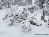 IMG-20230428-WA0015