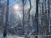 IMG-20230606-WA0008