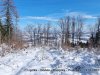 IMG-20230606-WA0010