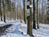 IMG-20230606-WA0047