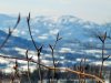 IMG-20230606-WA0055
