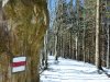 IMG-20230606-WA0058