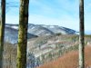 IMG-20230606-WA0060