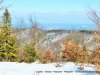 IMG-20230606-WA0062
