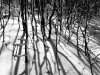 IMG-20230606-WA0065