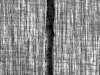 IMG-20230606-WA0067