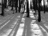IMG-20230606-WA0070