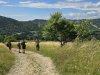IMG-20250730-WA0007