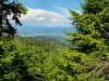 IMG-20250730-WA0030