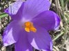 IMG-20250731-WA0012