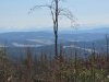 IMG-20250731-WA0030