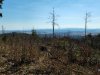 IMG-20250731-WA0031
