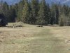IMG-20250731-WA0032