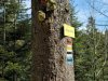 IMG-20250731-WA0034