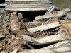 IMG-20250731-WA0035