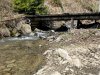 IMG-20250731-WA0036