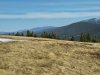 IMG-20250731-WA0037