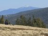 IMG-20250731-WA0041