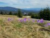 IMG-20250731-WA0042