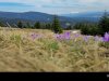 IMG-20250731-WA0044
