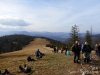 DSCN0534