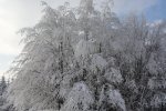 Slavic 27.01.2013