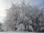 Slavic 27.01.2013