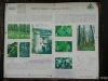 IMG_20170219_094931