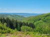 IMG-20230617-WA0025