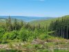IMG-20230617-WA0027