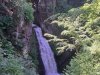 IMG-20230619-WA0003