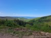 IMG-20230619-WA0008