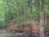 IMG-20230619-WA0017