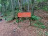 IMG-20230619-WA0018
