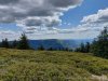 IMG-20230619-WA0022
