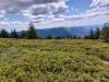 IMG-20230619-WA0024