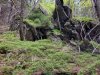 IMG-20230619-WA0028