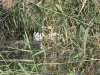 IMG-20250908-WA0043