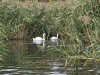IMG-20250908-WA0052