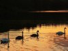IMG-20250927-WA0078