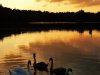 IMG-20250927-WA0080