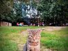 IMG-20250927-WA0083