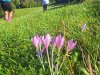 IMG-20250927-WA0006