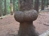 IMG-20250927-WA0009