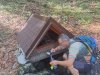 IMG-20250927-WA0011