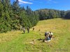 IMG-20250927-WA0012