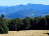 IMG-20250927-WA0014