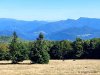 IMG-20250927-WA0016