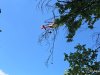 IMG-20250528-WA0017