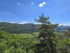 IMG-20250528-WA0019